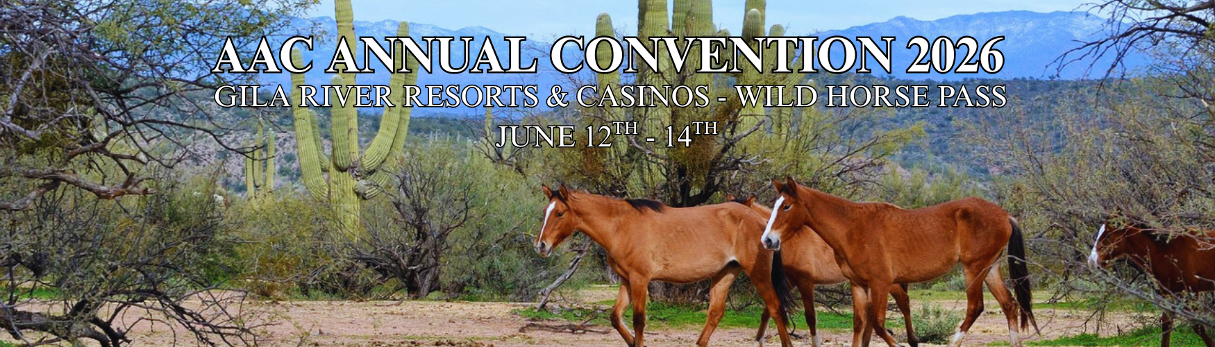 2025 Aac Convention